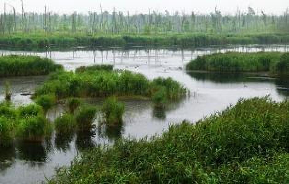 Flusslandschaft des Jahres 2024/2025