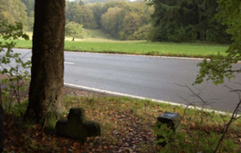 Natura trail Im südlichen Odenwald