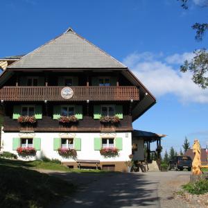 Feldberg_Sommer