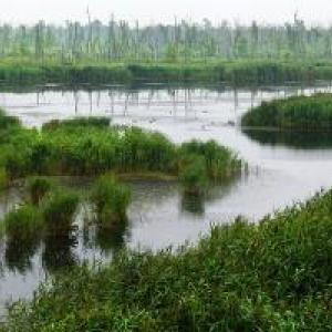 Flusslandschaft des Jahres 2024/2025