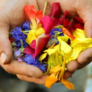 Job bei der NaturFreundejugend
